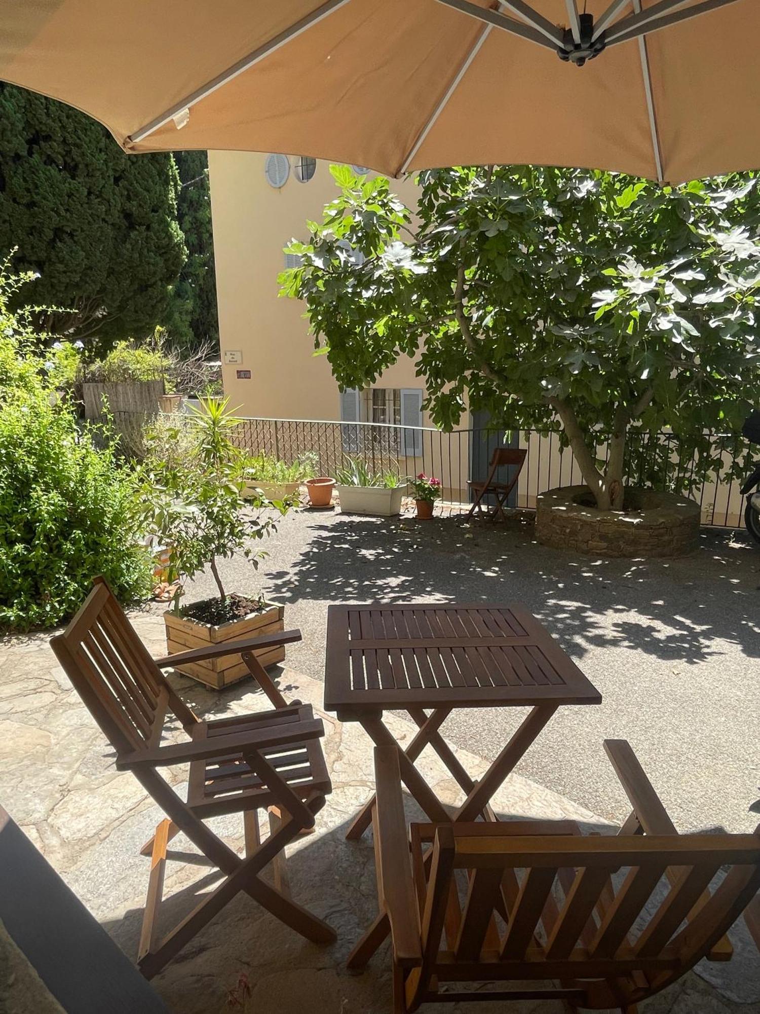 Cosy Studio - Place Du Figuier Bormes-les-Mimosas Exterior foto
